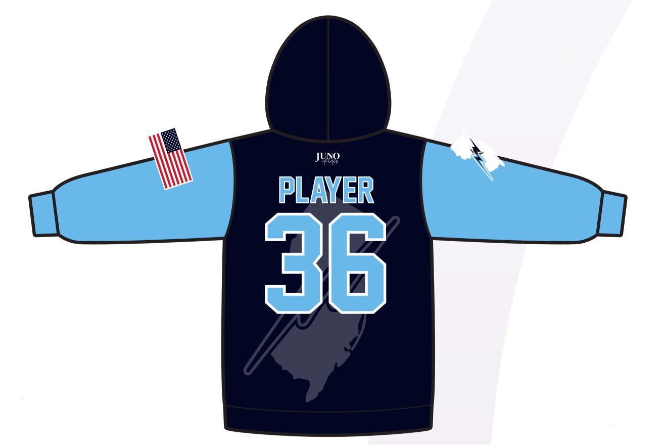 Naturals Team Hoodie – Carolina & Navy